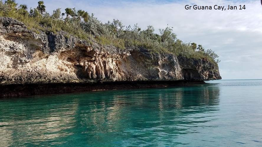 Gr Guana Cay: Undercut limestone, Jan 14